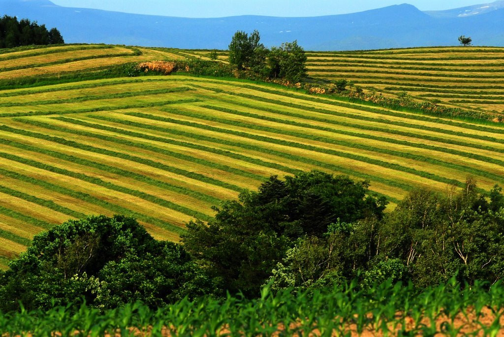 Хоккайдо остров, Хоккайдо регион, Япония, фото № 72731 – фотографии Японии