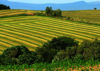 Хоккайдо остров, Хоккайдо регион, Япония, фото № 72731 – фотографии Японии