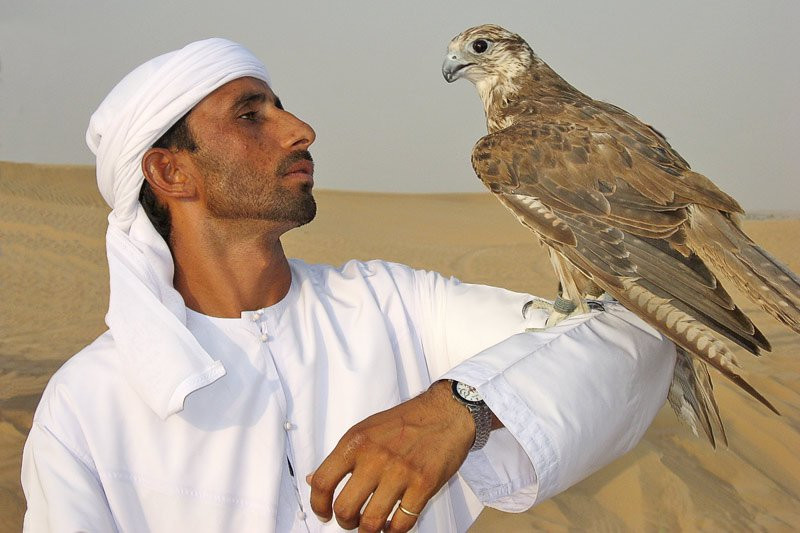 Дубай, ОАЭ, фото № 60878 – фотографии ОАЭ