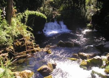 Чили, фото № 1724 – фотографии Чили