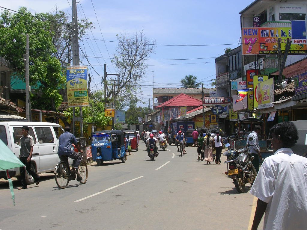Велигама, Шри-Ланка, фото № 50848 – фотографии Шри-Ланки