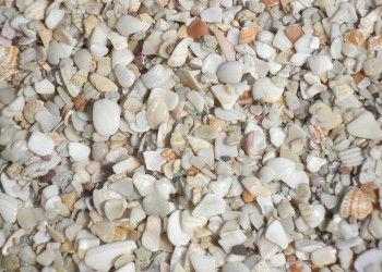 Плайя Кончаль, Гуанакасте провинция, Коста-Рика, фото № 39568 – фотографии Коста-Рики