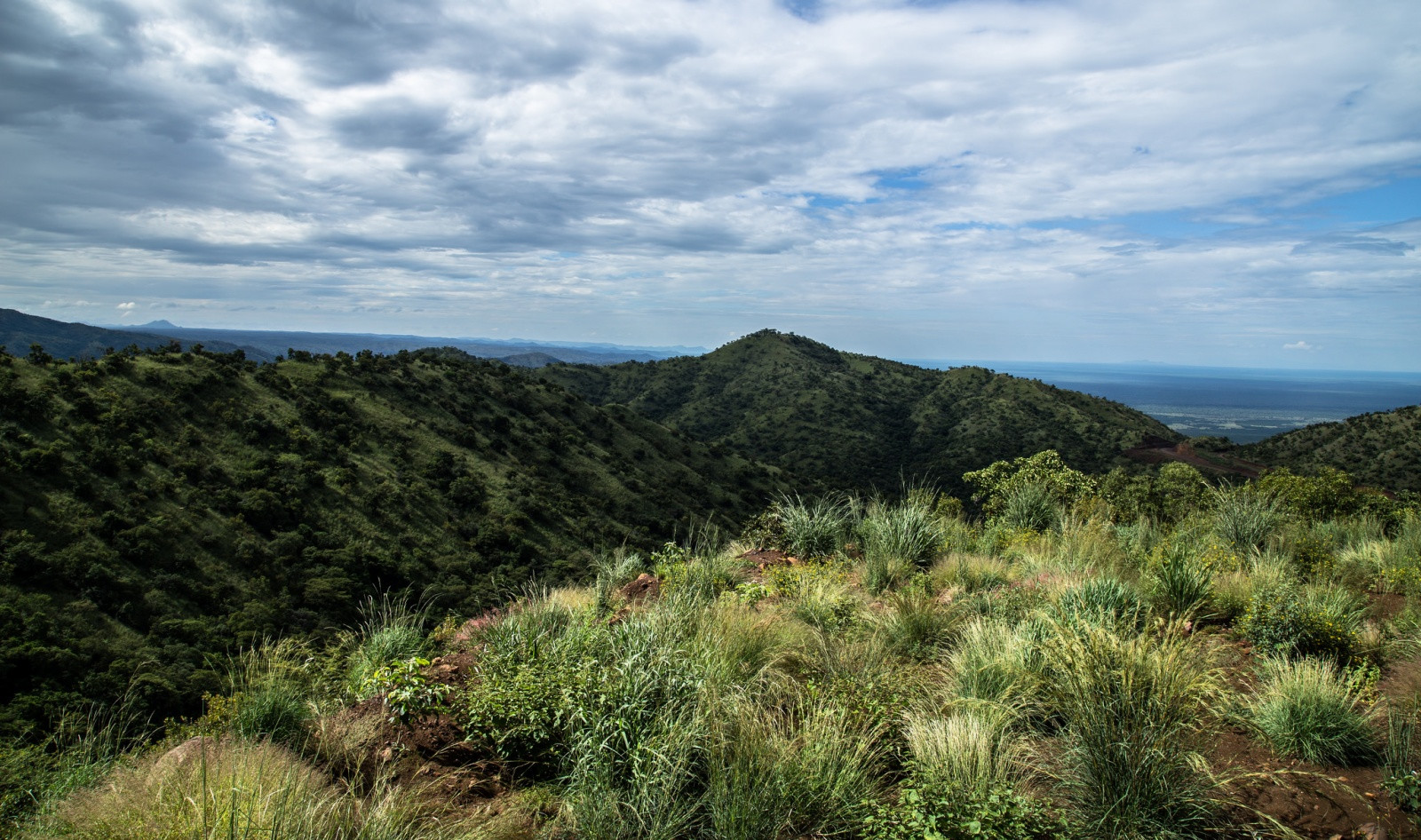 Маго национальный парк. Фото 13 – фотографии Эфиопии