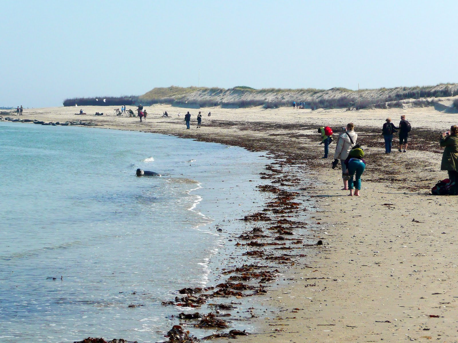 Гельголанд острова, Северная Германия, Германия, фото № 73814 – фотографии Германии