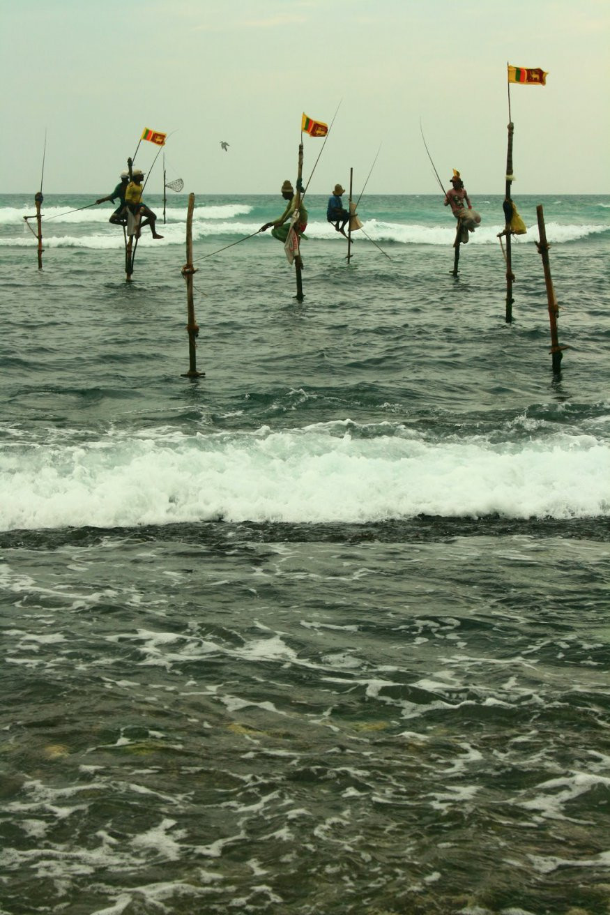 Шри-Ланка, фото № 2453 – фотографии Шри-Ланки