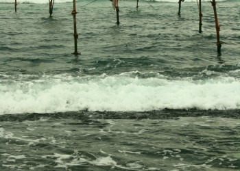 Шри-Ланка, фото № 2453 – фотографии Шри-Ланки