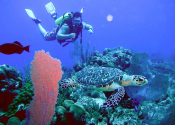 Тёркс и Кайкос, фото № 4101 – фотографии Тёркс и Кайкос