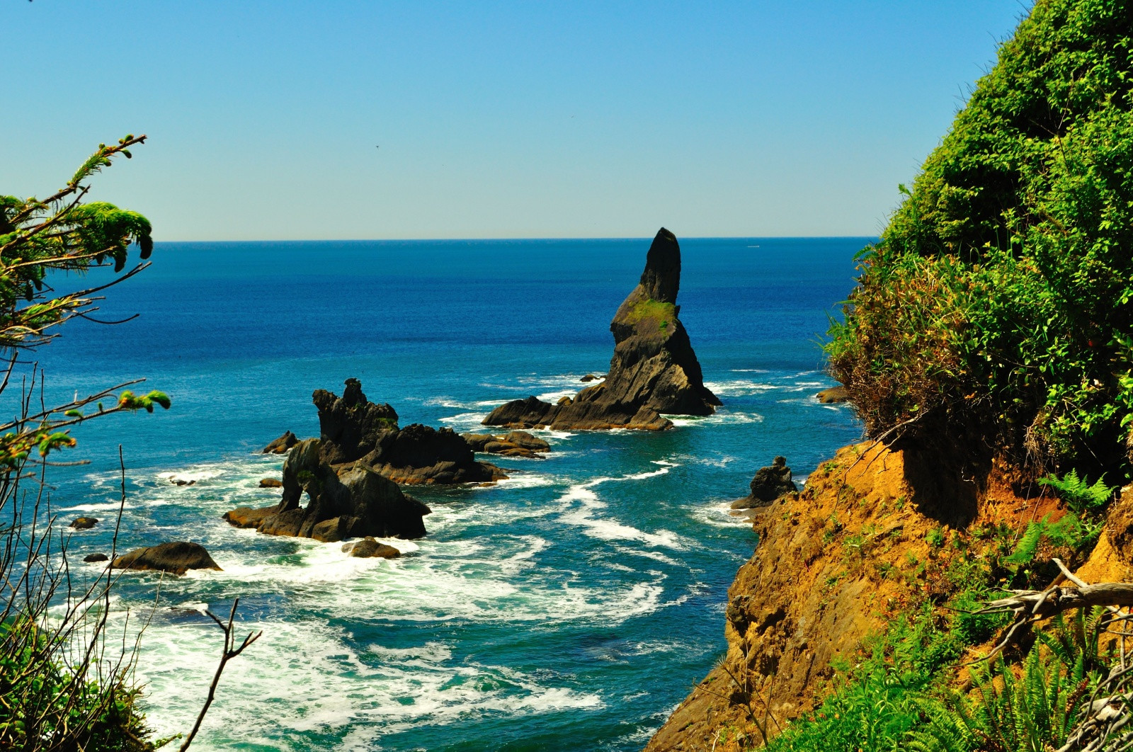 Национальный парк Олимпик (Olympic National Park) в США – фотографии США