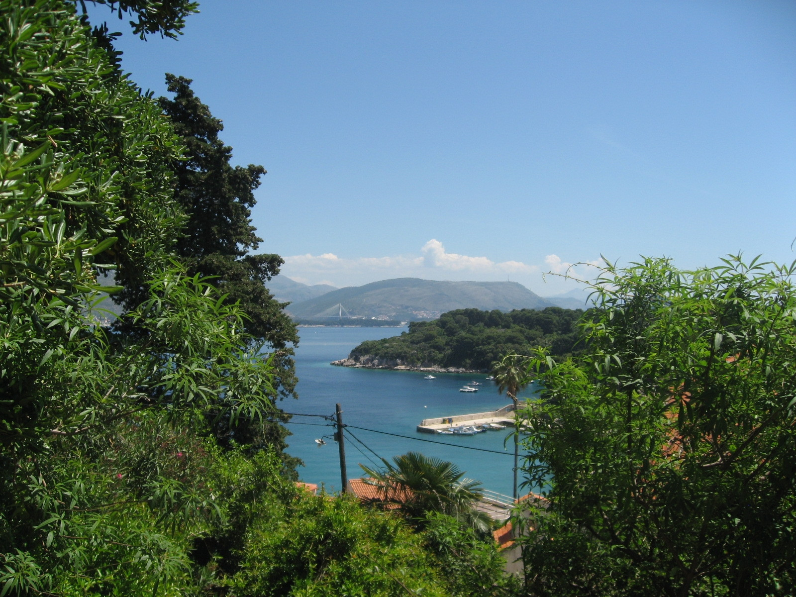 Природа на острове Колочеп, Хорватия – фотографии Хорватии