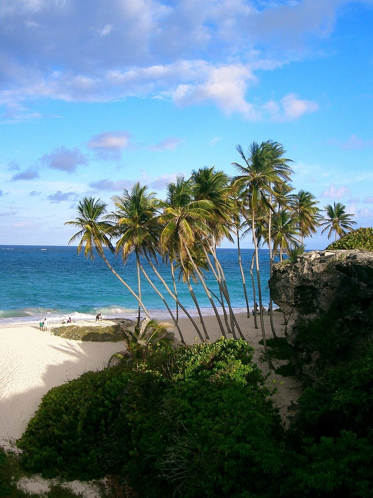 Пляж на Южном побережье, Барбадос. Фото 24 – фотографии Барбадоса