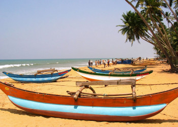 Ваддува, Шри-Ланка, фото № 50810 – фотографии Шри-Ланки