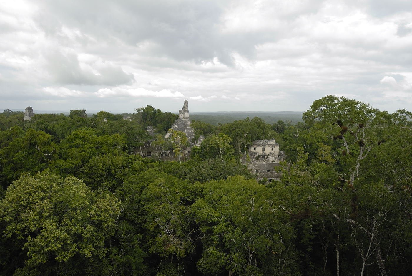 Город Тикаль, Гватемала – фотографии Гватемалы