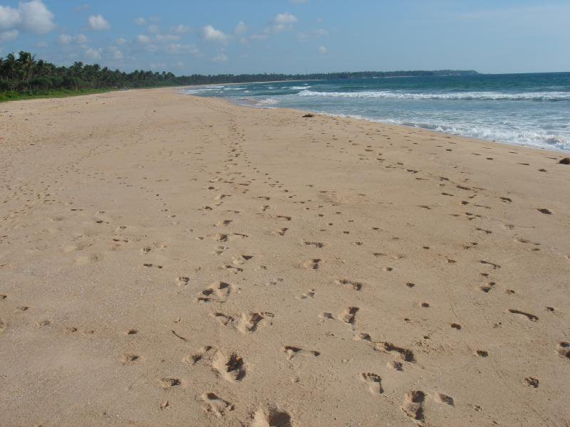 Ахунгалла, Шри-Ланка, фото № 50555 – фотографии Шри-Ланки