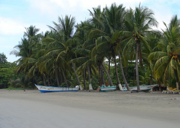 Самара, Гуанакасте провинция, Коста-Рика, фото № 39906 – фотографии Коста-Рики