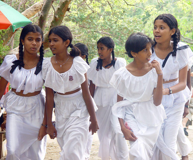 Шри-Ланка, фото № 1119 – фотографии Шри-Ланки