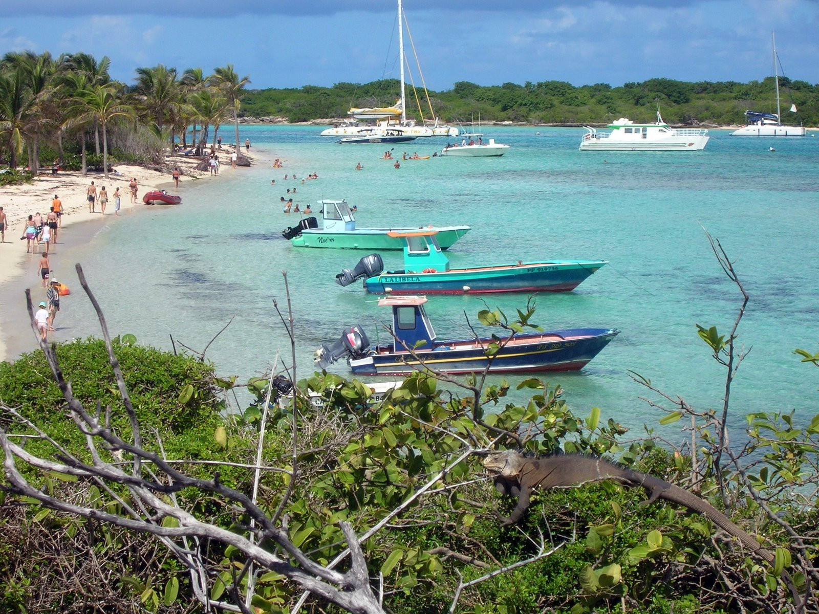 Гваделупа, фото № 3644 – фотографии Гваделупы