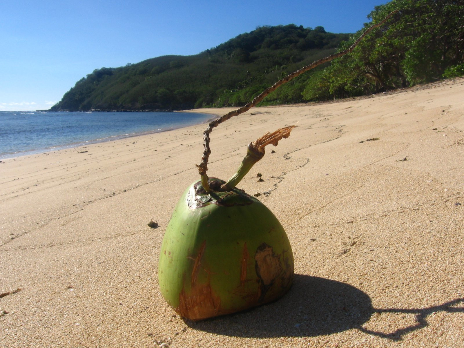 Вайа остров, Ясава группа островов, Фиджи, фото № 49856 – фотографии Фиджи