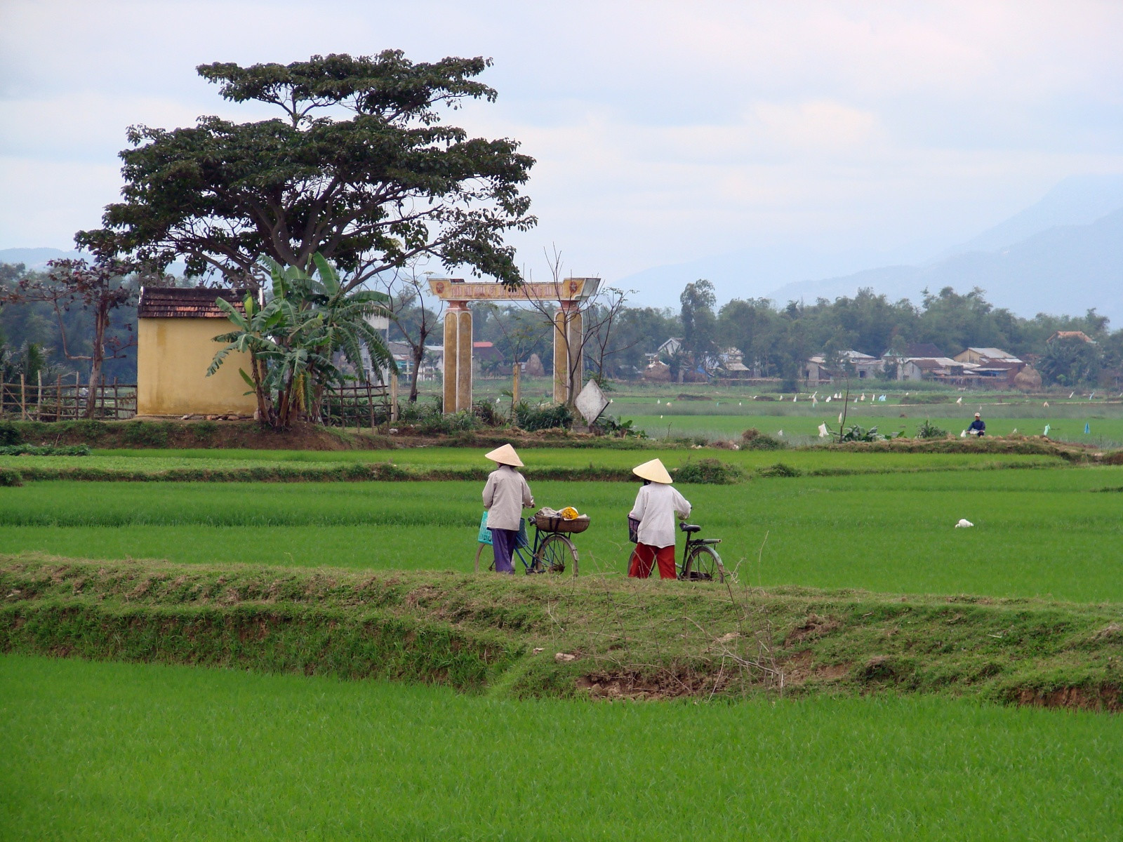 Хойан (Hoi An) – исторический город в центральном Вьетнаме – фотографии Вьетнама