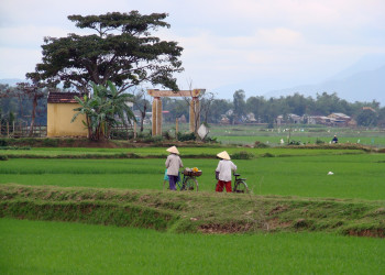 Хойан (Hoi An) – исторический город в центральном Вьетнаме – фотографии Вьетнама