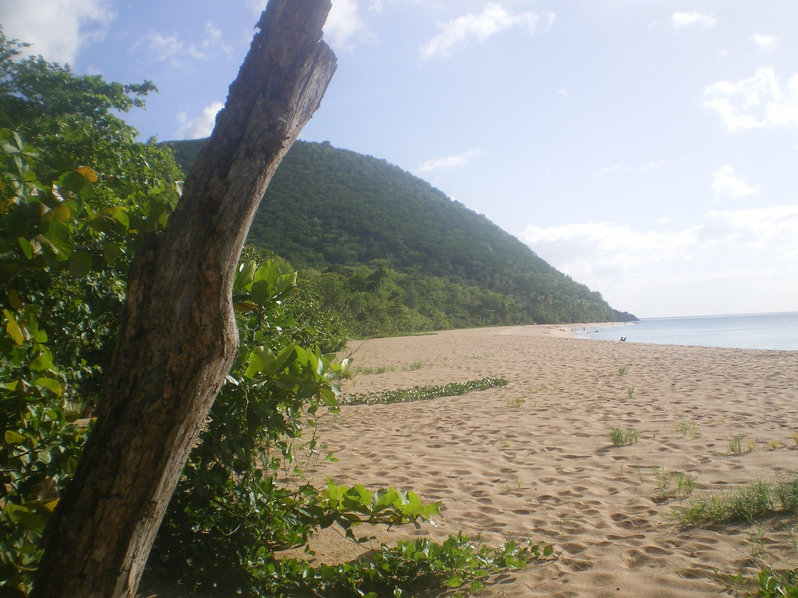 Гваделупа, фото № 3602 – фотографии Гваделупы