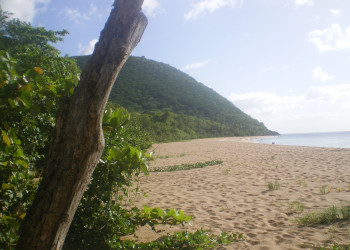 Гваделупа, фото № 3602 – фотографии Гваделупы