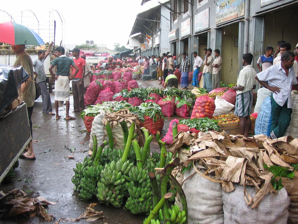Дамбулла, Шри-Ланка, фото № 51058 – фотографии Шри-Ланки