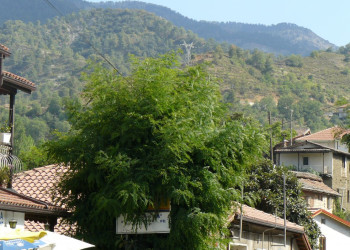 Какопетрия, Кипр, фото № 37674 – фотографии Кипра