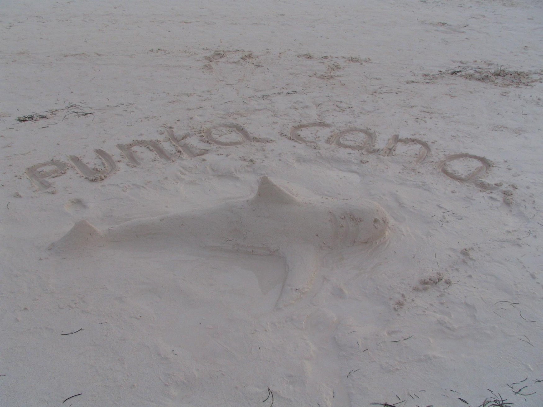 Пунта-Кана, Доминикана, фото № 30525 – фотографии Доминиканы