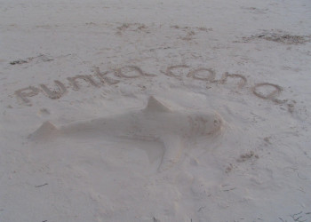 Пунта-Кана, Доминикана, фото № 30525 – фотографии Доминиканы