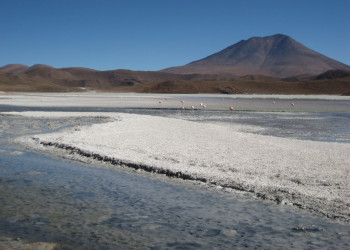 Laguna Hedionda – фотографии Боливии