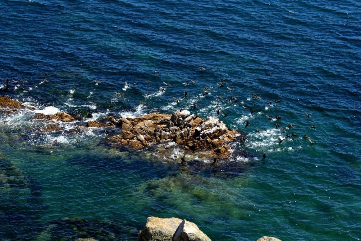 Море в Лазовском заповеднике, Россия. Фото 6 – фотографии России