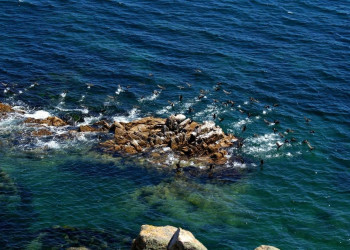 Море в Лазовском заповеднике, Россия. Фото 6 – фотографии России