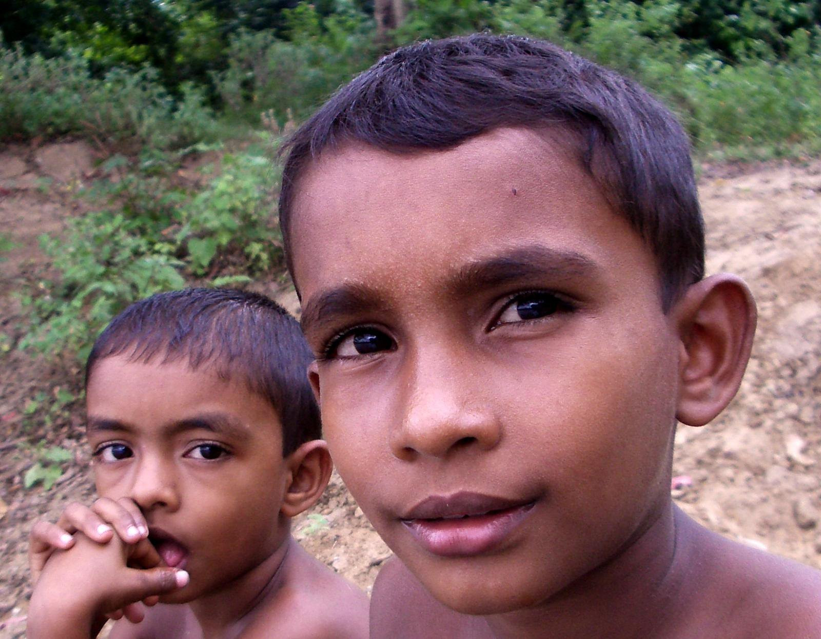 Дамбулла, Шри-Ланка, фото № 51060 – фотографии Шри-Ланки