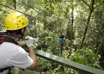 Амазонас штат, Бразилия, фото № 58782 – фотографии Бразилии