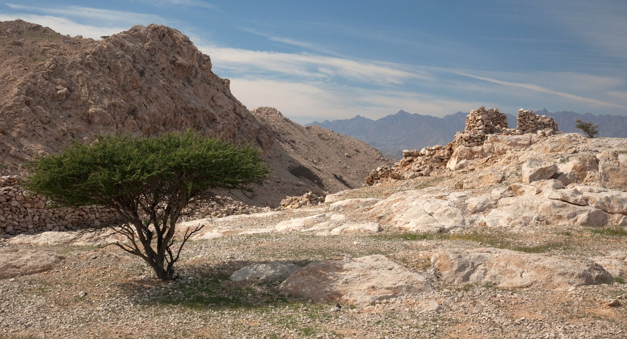 Оман, фото № 5233 – фотографии Омана