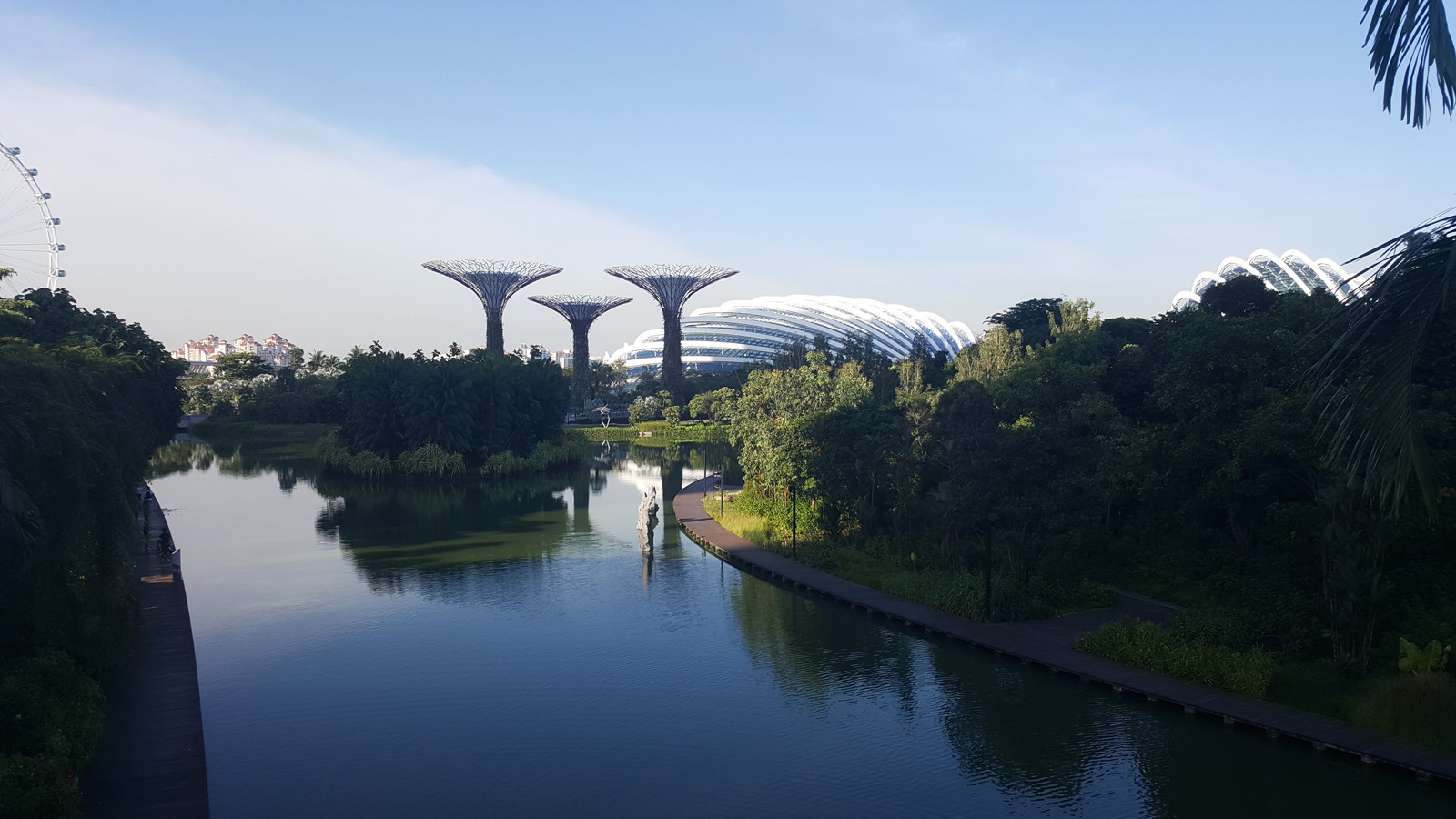 Парк Gardens by the Bay в Сингапуре. Фото 3 – фотографии Сингапура