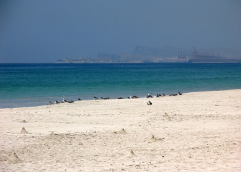 Пляжи Салалы – фотографии Омана