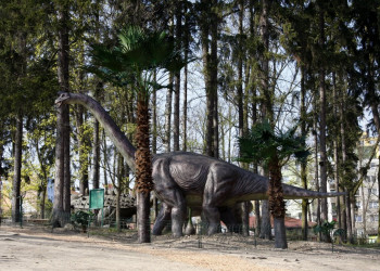 Дино Парк – фотографии Чехии