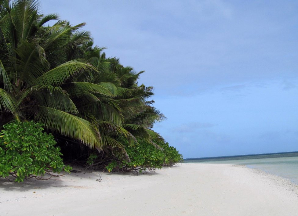 Пляж на острове Альфонс. Фото 1 – фотографии Сейшельских островов