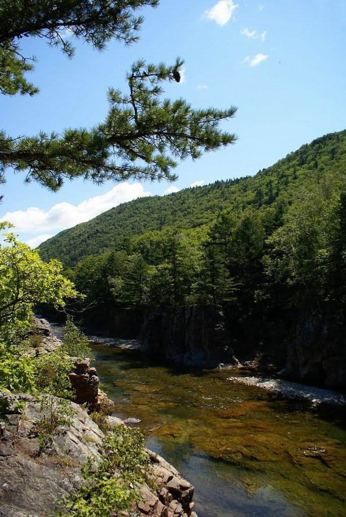 Река в Лазовском заповеднике, Россия. Фото 1 – фотографии России