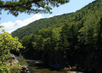 Река в Лазовском заповеднике, Россия. Фото 1 – фотографии России