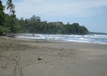 Кауита, Лимон провинция, Коста-Рика, фото № 40064 – фотографии Коста-Рики