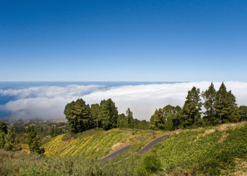 Ла-Пальма остров, Канарские острова, фото № 32015 – фотографии Канарских островов