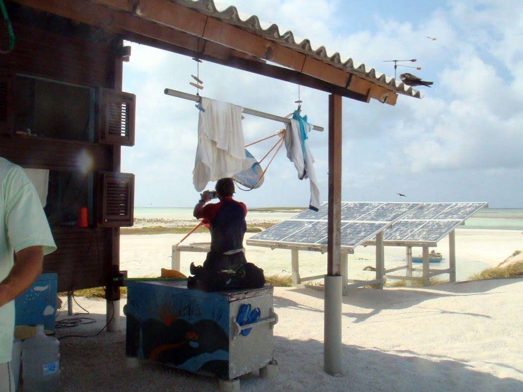 Бразильский атолл Рокас (Atol das Rocas) – фотографии Бразилии