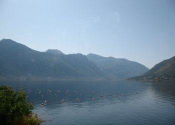 Которсий залив, Черногория. Фото 3 – фотографии Черногории