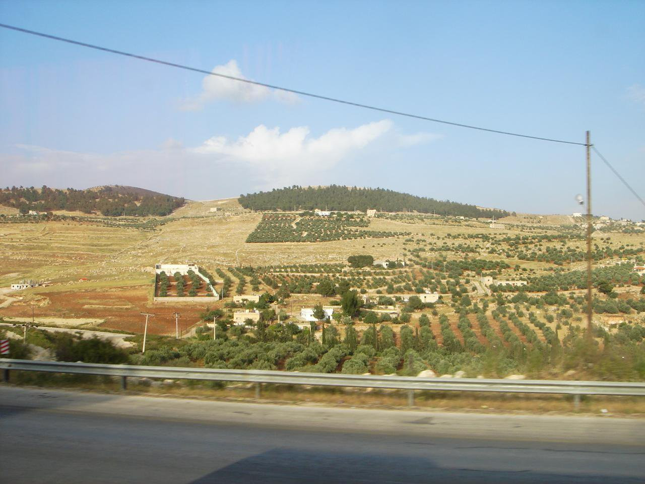 Ирбид, Иордания, фото № 36780 – фотографии Иордании