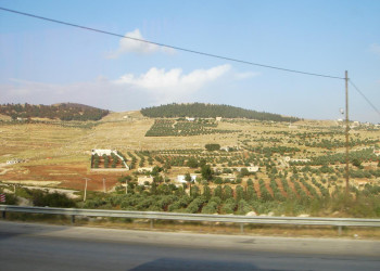 Ирбид, Иордания, фото № 36780 – фотографии Иордании