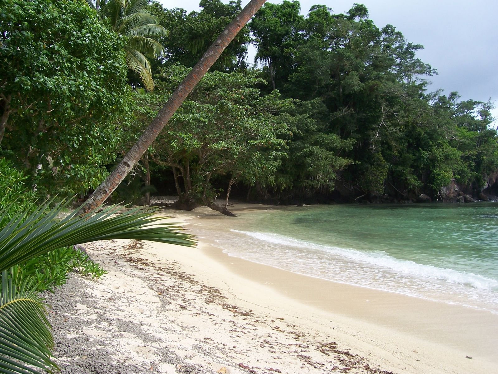 Камеа остров, Вануа Леву группа островов, Фиджи, фото № 49263 – фотографии Фиджи