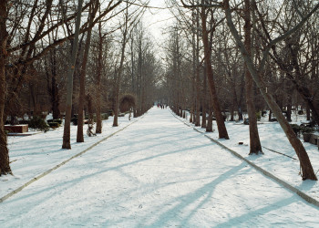 Зима в Саки, Россия. Фото 1 – фотографии России