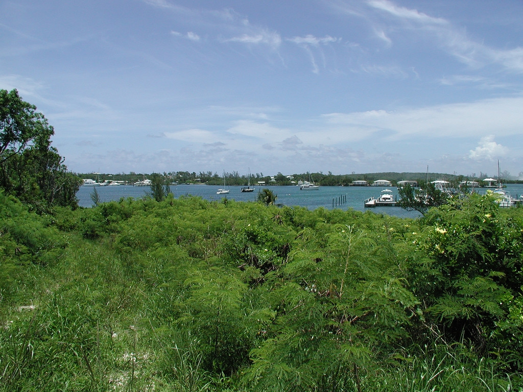 Природа на острове Абако, Багамские острова. Фото 4 – фотографии Багамских островов